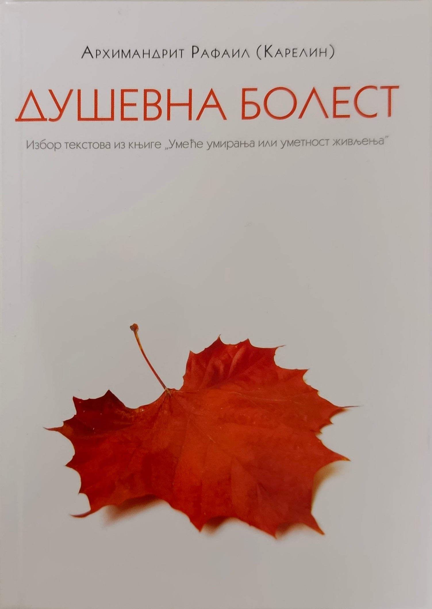 Душевна болест - архимандрит Рафаил Карелин